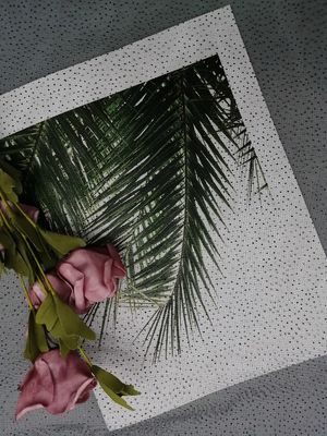 Ткань сетки Тюль яркого блеска точки черноты партии напечатанная фольгой