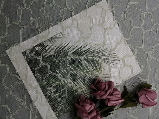 Ткань шнурка Chantilly сетки вышивки французская декоративная геометрическая