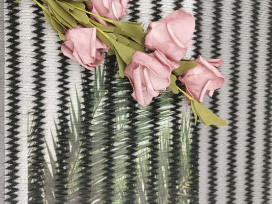 Striped плиссированная ткань шнурка составила Тюль