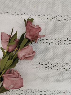 Линейный Broderie вышил ткани Nightgown 100% хлопок ткани отверстии